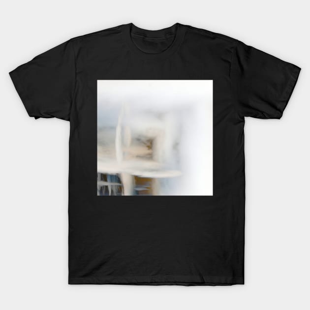 Into the Light T-Shirt by WesternExposure